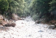 Die Kritsa-Schlucht. Weitestgehend unberhrte Natur