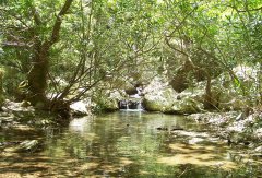 In der Schlucht gios Antnios